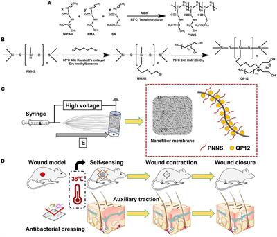 Embryonic perfect repair inspired electrospun nanofibers dressing with temperature-sensitive and antibacterial properties for wound healing